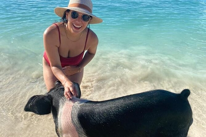 007 Swimming With Pigs Tour on Rose Island - Private and Exclusive Experience