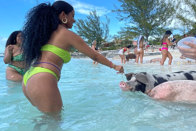 007 Swimming With Pigs Tour on Rose Island - Additional Highlights
