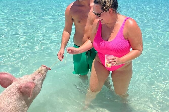 007 Swimming With Pigs Tour on Rose Island - Directions