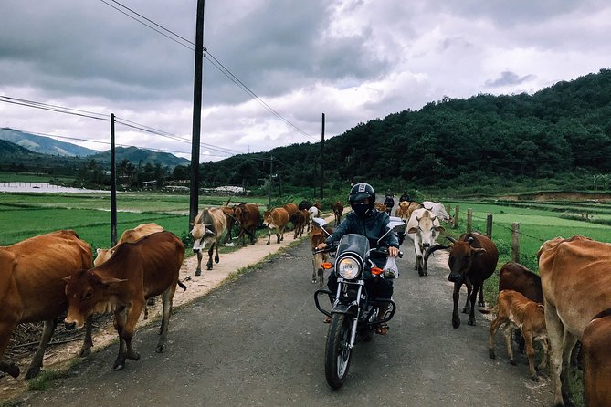 01 Day Easy Rider From Da Lat to Mui Ne by Motorbike - Cancellation Policy and Reviews
