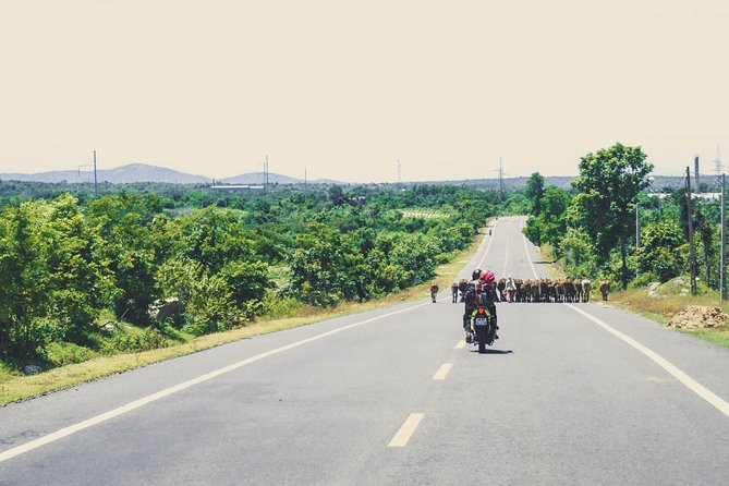 01 Day Easy Rider From Da Lat to Mui Ne by Motorbike - The Sum Up