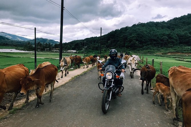 01 Day Easy Rider From Da Lat to Nha Trang by Motorbike - What to Pack for the Day Trip