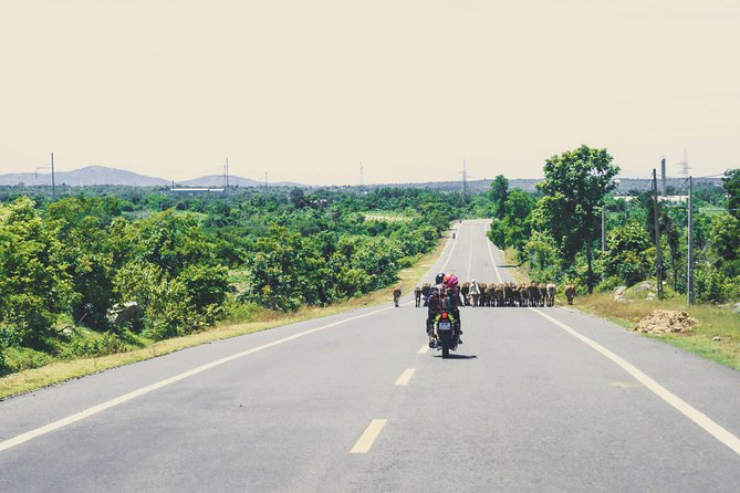 01 Day Easy Rider From Nha Trang to Da Lat by Motorbike - Stops at Local Villages and Attractions