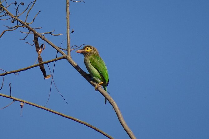 02 Days Agra & Bharatpur Birding Tour From Delhi - Good To Know