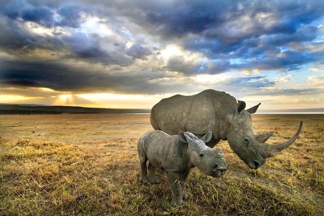02 Days Lake Nakuru National Park Superior - Good To Know