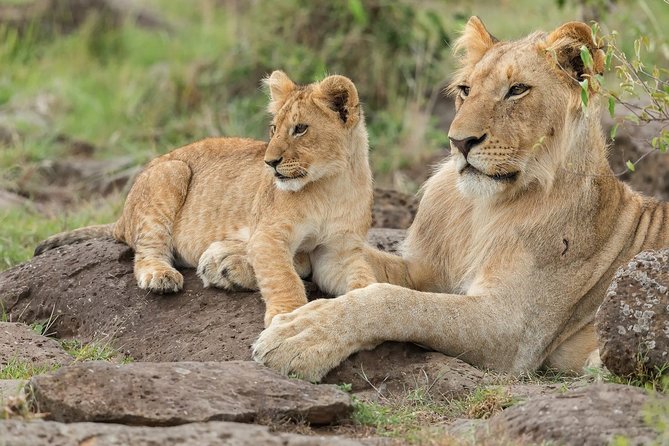 02 Days Lake Nakuru National Park Superior - Traveler Restrictions