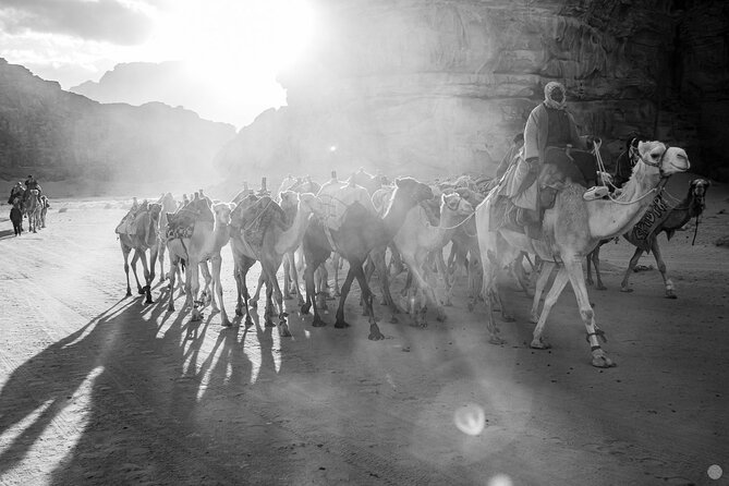 02 Days Petra , Wadi Rum and Dead Sea From Amman - Health and Safety Guidelines