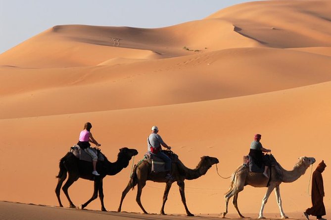 02 Days Tour !! Desert Safari With Night Camping and Citytour @ Ras Al Khaimahh - Common Questions
