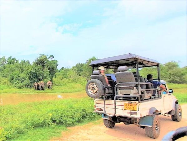 02 Days - Visit Ella and Udawalawe Safari - All Inclusive - Unique Features of the Tour