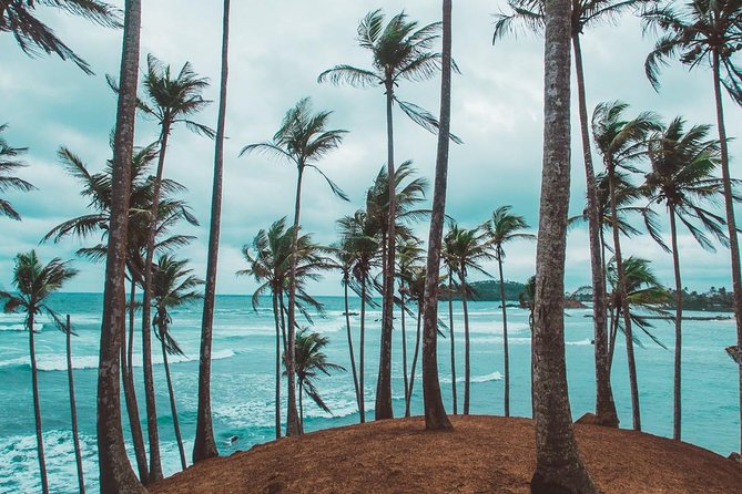 03 Days Beach Holidays in Sri Lanka With Kingfisher - Common Questions