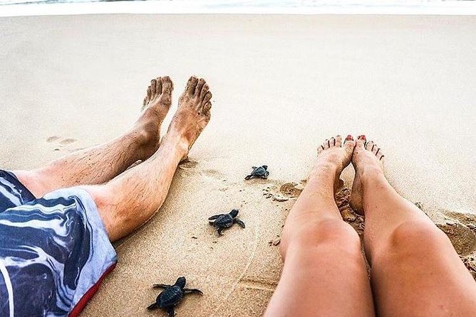 03 Days Beach Holidays in Sri Lanka With Kingfisher - The Sum Up