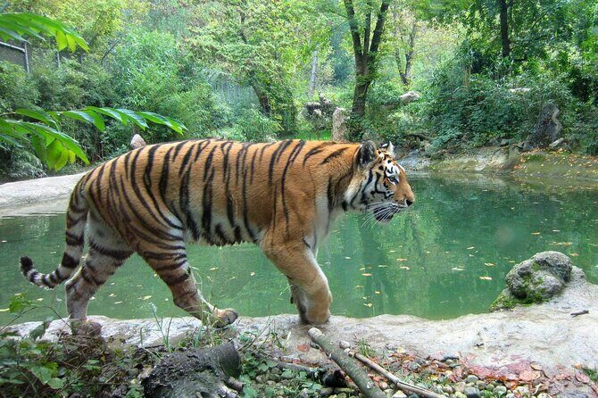 03 Days Private Wildlife Ranthambore Tiger Tour from Jaipur - Who Should Consider This Tour?