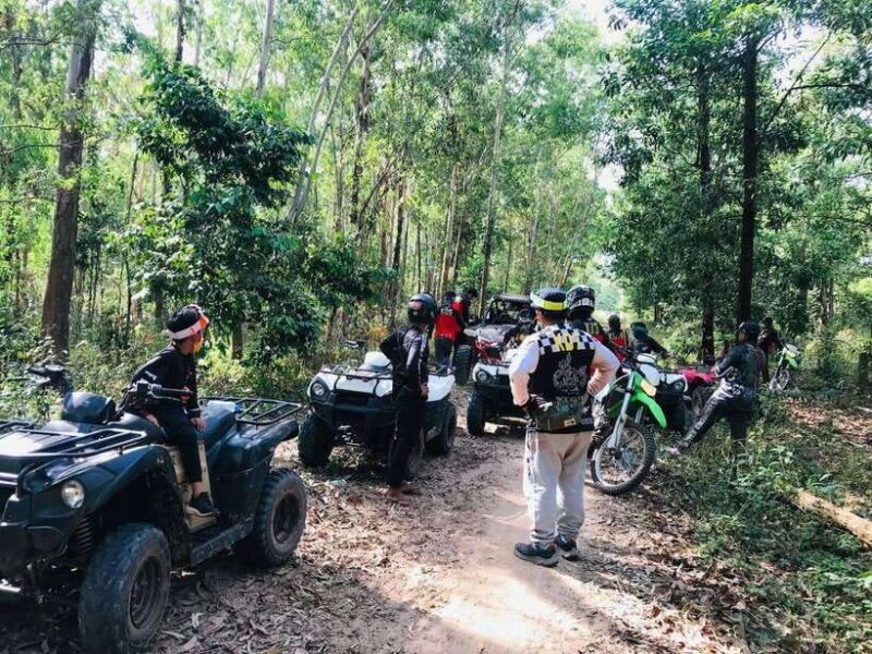 03 Hours Countryside tours - The Sum Up