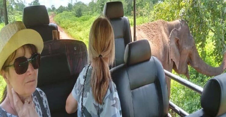 04 Days - CMB Airport, Kandy, Train Trip ,Visit Ella, Safari - Good To Know