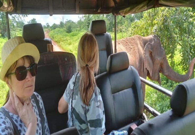 04 Days - CMB Airport, Kandy, Train Trip ,Visit Ella, Safari - Day 01: Arrival in Kandy