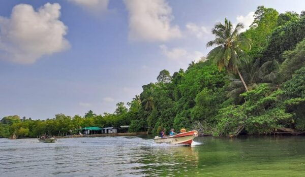 04 Days - CMB Airport, Kandy, Train Trip ,Visit Ella, Safari - Key Highlights of the Trip