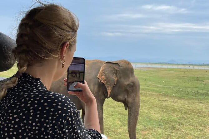 04 Hours Safari Jeep Tours - Good To Know