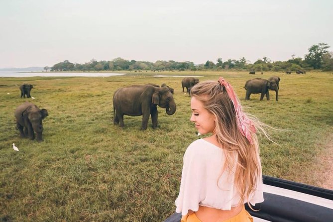 05 Days Glimpse Of Sri Lanka - The Sum Up