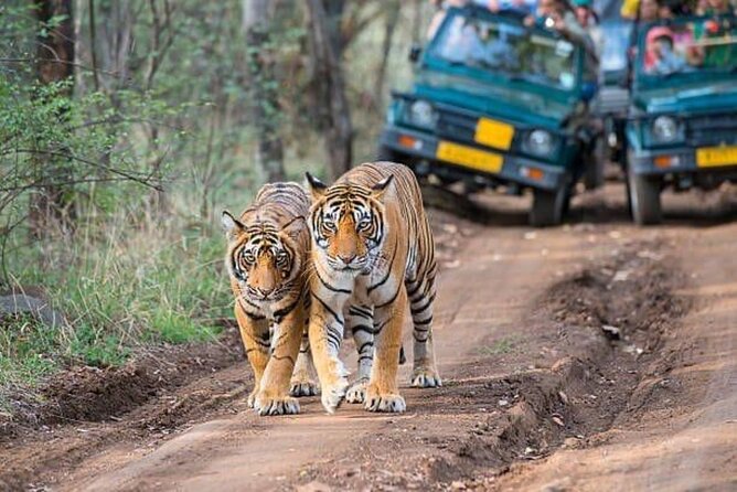 05 Days - Private Luxury Golden Triangle Tour With Ranthambore - Itinerary Highlights
