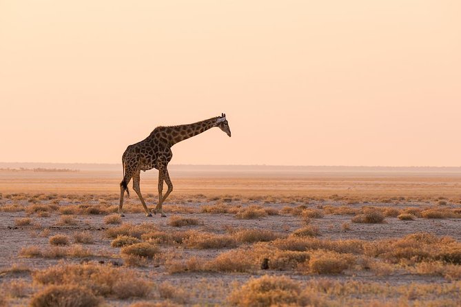06 Days Etosha and Sossusvlei Namibia - Weather Cancellation and Changes Policy