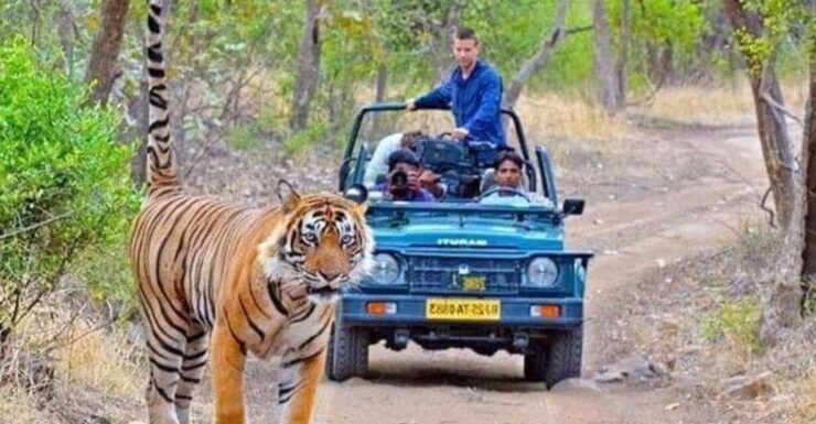 06 Days Golden Triangle Tour With Ranthambore Safari - Tour Overview