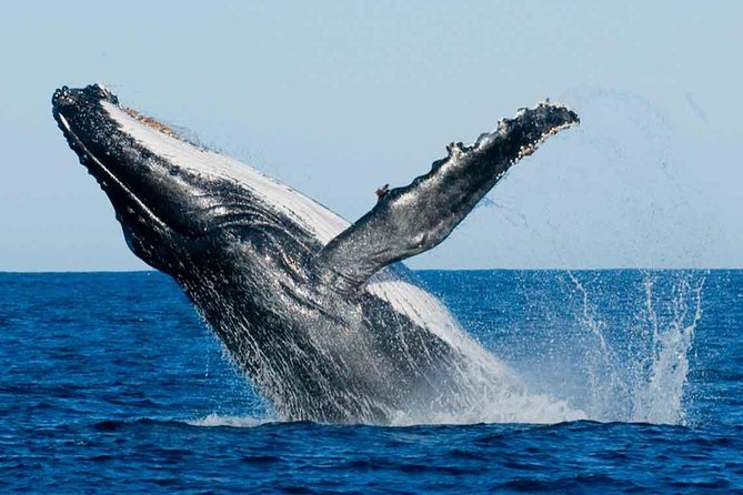 07 Days Amazing Experience - Overview