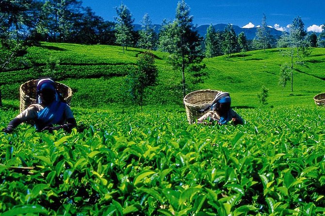 07 Days Amazing Experience - Whats Included