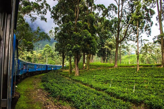 07 Days Amazing Experience - Meeting and Pickup