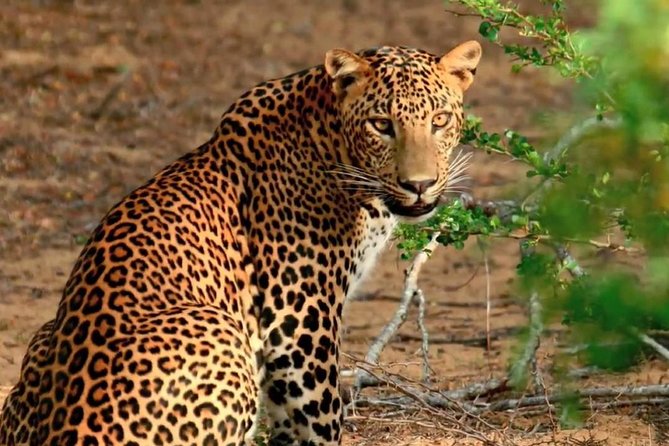 07 Days Amazing Experience - Reviews