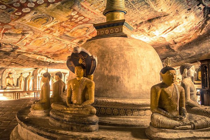 07 Days Amazing Experience - Common Questions