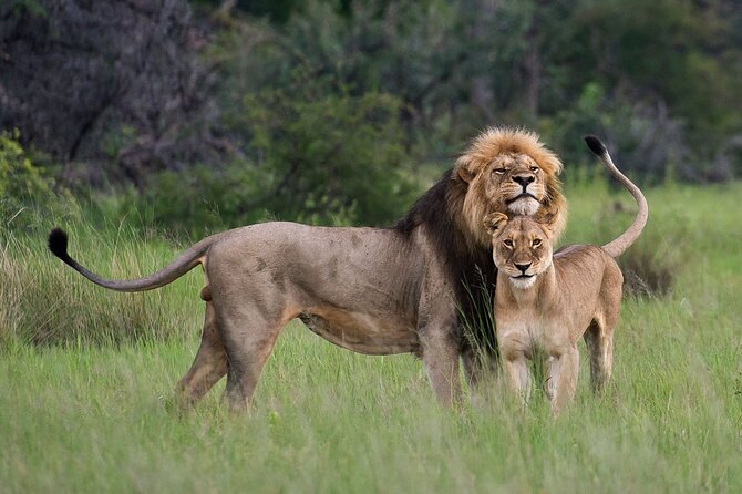 07-Days Murchison Falls, Queen Elizabeth & Gorillas Safari - Itinerary Overview