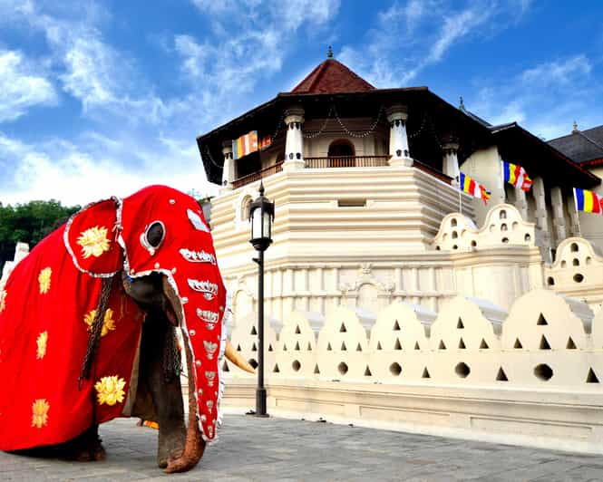 08 Nights 09 Days Tour Package - Daily Itinerary Breakdown