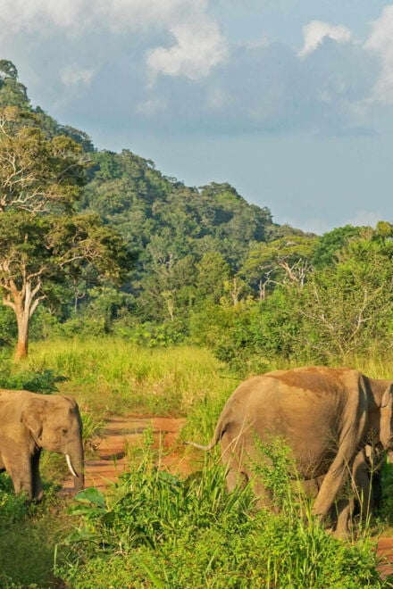 08 Nights 09 Days Tour Package - Cultural and Historical Highlights