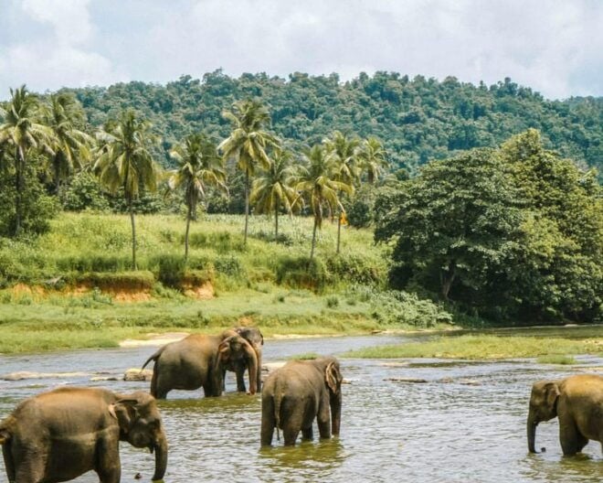 08 Nights 09 Days Tour Package - Guided Tours and Experiences
