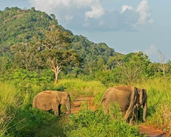 08 Nights 09 Days Tour Package - Pricing and Booking Details