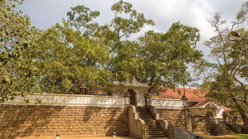 09 Days Heritage Trails of Sri Lanka - Analyzing the Itinerary in Detail
