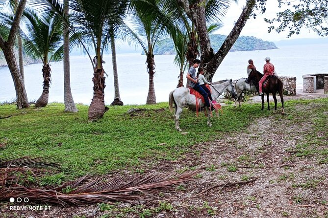 1 1/2 Hours Tour Horseback Riding and Visiting the Beach - Meeting Point Details