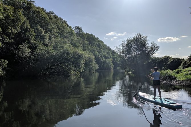 1-2-1 Paddleboarding River Trip For Beginners on The River Avon - Wildlife Spotting