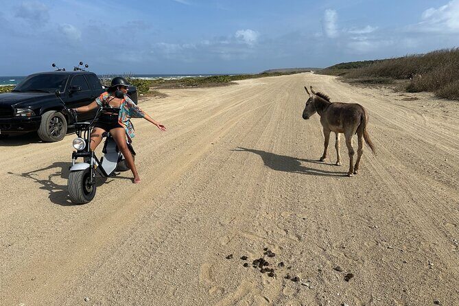 1/2 Day (4 hour) Electric Scooter Rental in Aruba - Real Traveler Insights & Experiences