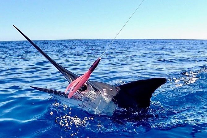 1/2 Day Afternoon Deep Sea Fishing Charter on "Angler Management" - What Is the Angler Management Fishing Charter?