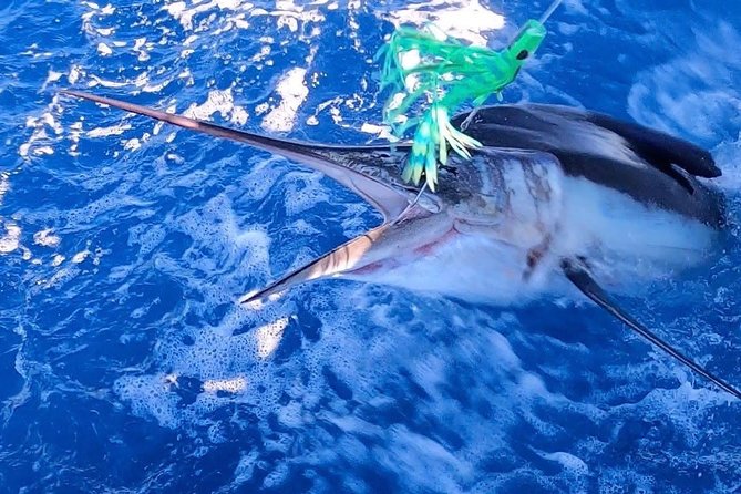 1/2 Day Afternoon Deep Sea Fishing Charter on "Angler Management" - What You Can Expect on Your Fishing Charter