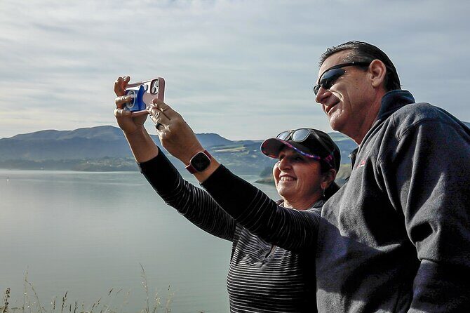 1/2-day Christchurch Scenic Highlights (Shore Excursion) - The Sum Up: Who Should Consider This Tour?  