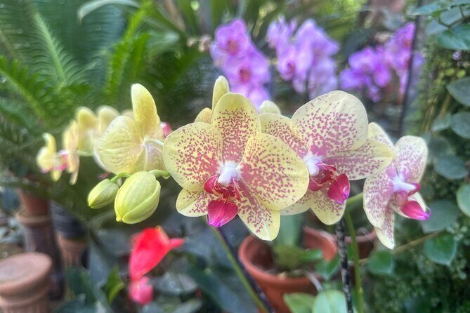 1/2 Day Puerto Vallarta Botanical Garden tour by Biologist Guide - An In-Depth Look at the Tour Experience