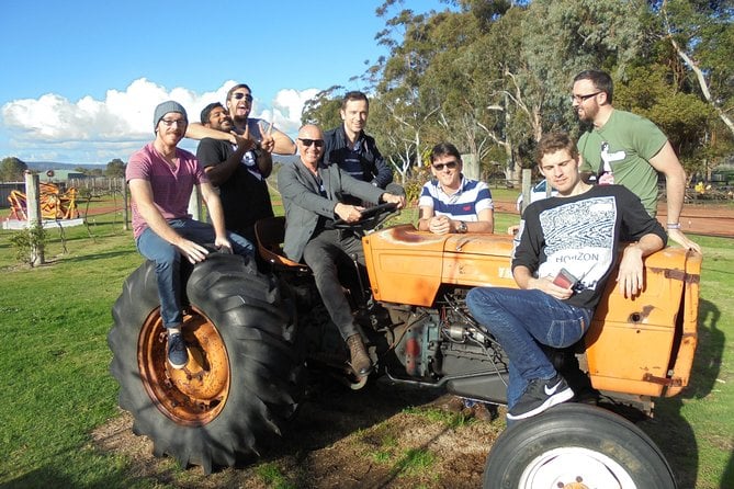 1/2 Day Swan Valley Wine Cheese & Chocolate Tour Inc Afternoon Cruise to Perth - Cruise Experience and Scenic River Cruise