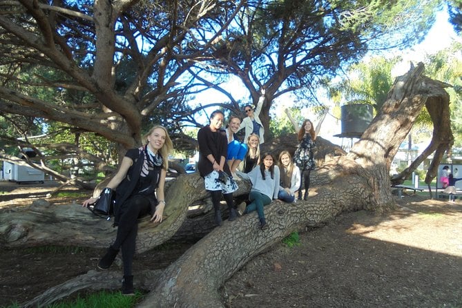 1/2 Day Swan Valley Wine Cheese & Chocolate Tour Inc Afternoon Cruise to Perth - Common Questions