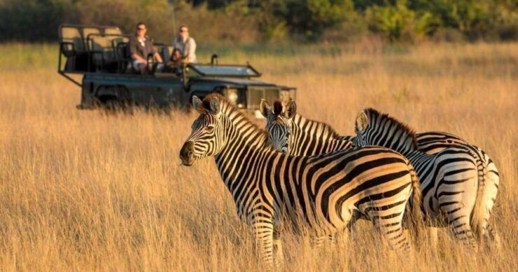 1/2 Day Tala Game Reserve & Natal Lion Park Tour From Durban - Good To Know