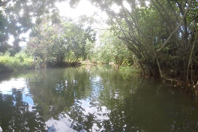 1/2 day "Treasures of Raiatea" by boat - ideal for cruise passengers - FAQ