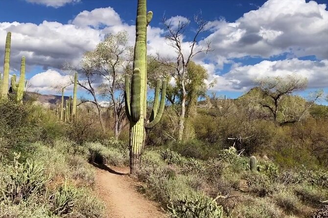 1-2 Hour Jewel of the Creek Private Guided Hiking Tour - End Point