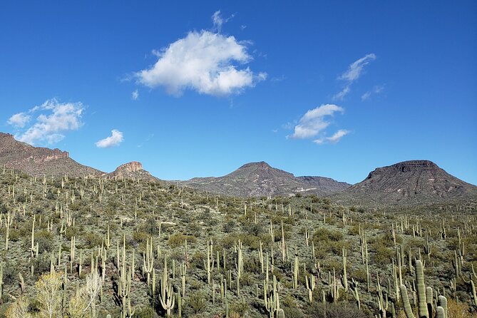 1-2 Hour Jewel of the Creek Private Guided Hiking Tour - What To Expect