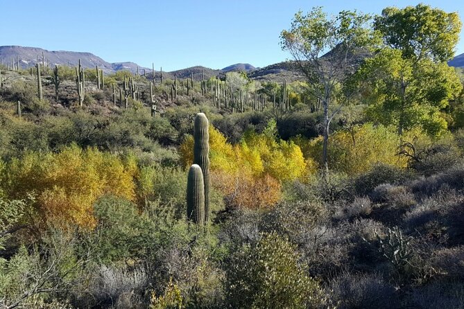 1-2 Hour Jewel of the Creek Private Guided Hiking Tour - Cancellation Policy